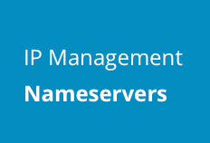 access nameserver page