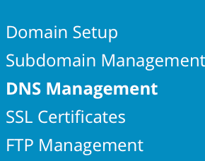 access dns management