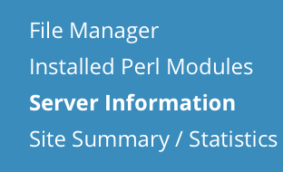 access server information